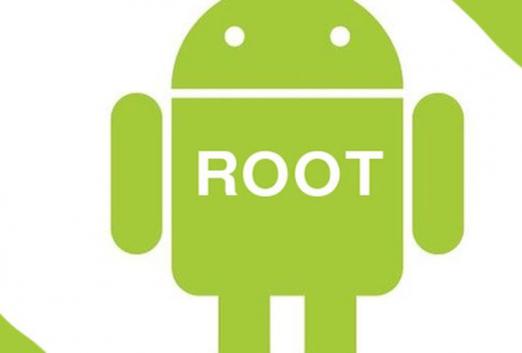 Root คืออะไร?