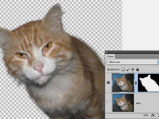 วิธีการลบพื้นหลังใน Photoshop?